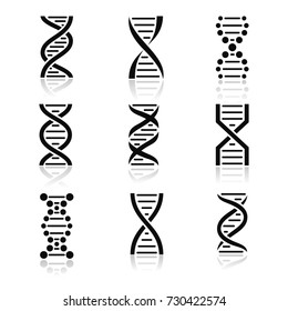 DNA icon set with shadows. Isolated on a white background. Vector illustration