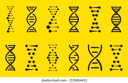 Dna icon set vector illustration