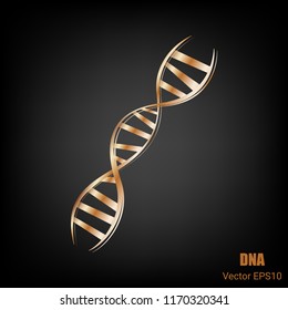 DNA Icon Structure Molecule Science and Biology Logo Symbol in Bronze Metallic Modern Design on Black Background - Vector Illustration