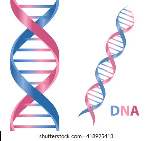 Dna Icon. Dna Symbol. Dna Helix Symbol. Gene Icon. Vector Illustration On White Background