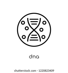 Dna icon. Trendy modern flat linear vector Dna icon on white background from thin line Human Body Parts collection, editable outline stroke vector illustration