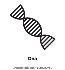 Dna icon vector isolated on white background, Dna transparent sign , line and outline elements in linear style