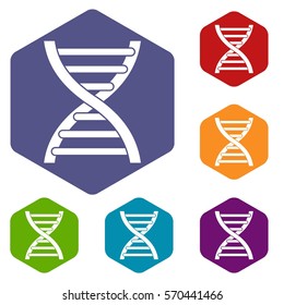 DNA icons set rhombus in different colors isolated on white background