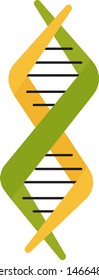 DNA, illustration, vector on white background.