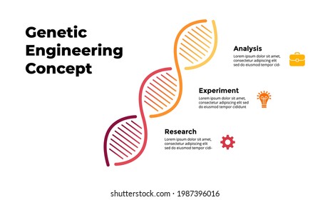 DNA Infographic. Scientific medical concept. Genetic engineering. 3 steps diagram. Vector illustration slide template. 