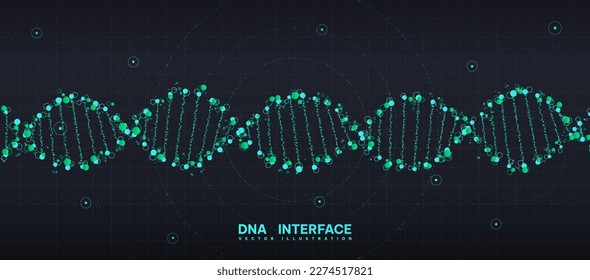 DNA interface concept. Modern technology and scientific medical research of cells, molecular structure. Genetic engineering and microbiology. Futuristic sci fi banner. Realistic 3D vector illustration