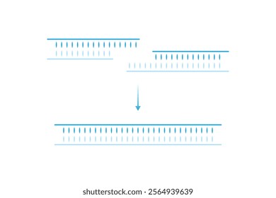 DNA Ligase Enzyme Function Science Design. Vector Illustration.