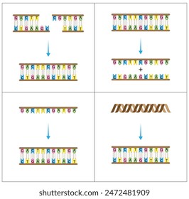 DNA-Ligase, Helicase, Polymerase und Topoisomerase-Enzyme. Wissenschaftliches Design. Vektorillustration.