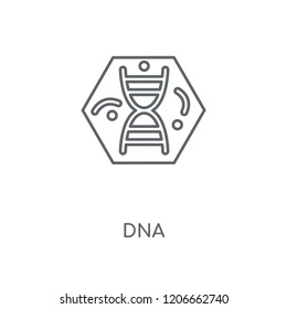 Dna linear icon. Dna concept stroke symbol design. Thin graphic elements vector illustration, outline pattern on a white background, eps 10.