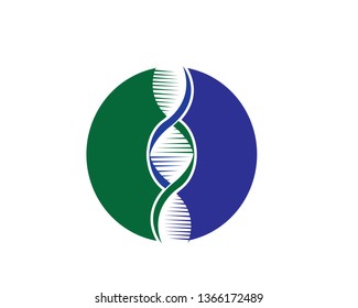 DNA logo - Vector
