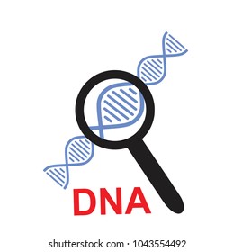 Dna magnifying glass vector