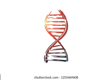 DNA, medicine, genetic, biology, science concept. Hand drawn symbol of DNA gene concept sketch. Isolated vector illustration.