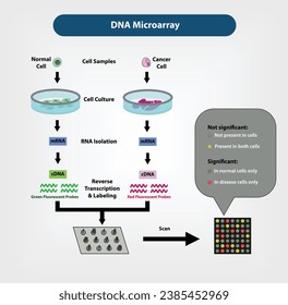 DNA Microarray, A DNA microarray is composed of a solid surface to which tiny DNA sequences (oligos) are affixed.