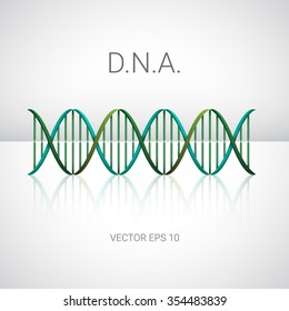 DNA model with reflection on light background. Vector illustration for your graphic design.