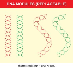 
dna models example physics science lesson