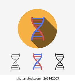 DNA, modern flat icon