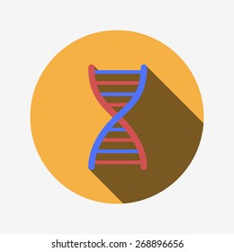 DNA, modern flat icon