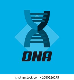 DNA molecula design