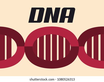 DNA molecula design