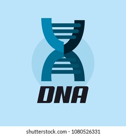DNA molecula design