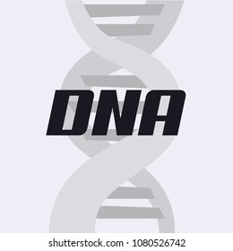 DNA molecula design
