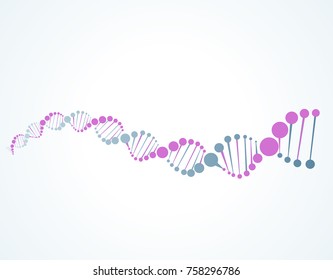 dna molecular structure