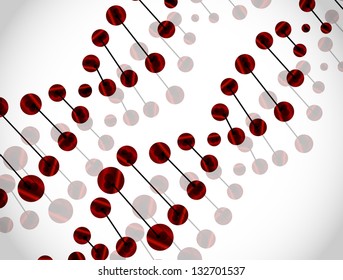 DNA molecule