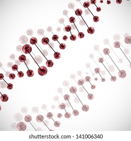 DNA molecule
