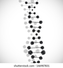 DNA molecule