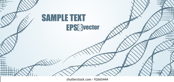 DNA. Molecule