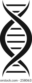 Dna molecule forming double helix with genetic information encoded in chemical bases adenine, guanine, cytosine and thymine, essential for heredity and protein synthesis