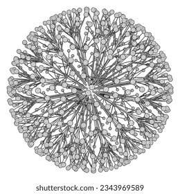 Vector de estructura de red fractal de ADN 26. Resumen de la conexión de red de cadena de ADN, aislada en fondo blanco. Concepto de tecnología y conectividad.