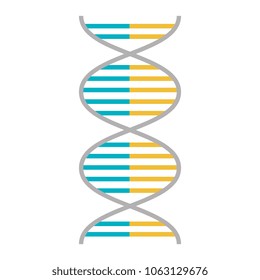 DNA molecule genetic icon