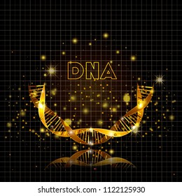 dna molecule half circle golden structure
