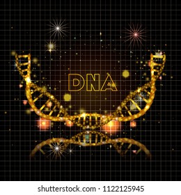 dna molecule half circle golden structure