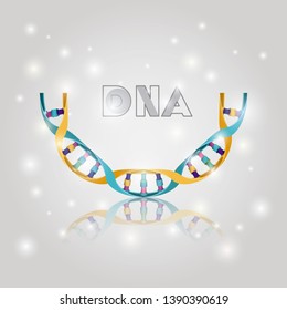 dna molecule half circle structure pattern