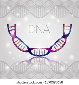 dna molecule half circle structure pattern