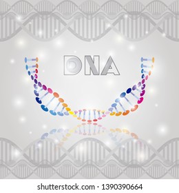 dna molecule half circle structure pattern