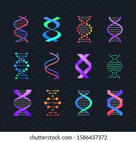 DNA molecule - line design style vector elements isolated on black background. Bright fluorescent images of deoxyribonucleic acid, double helix of different forms and shapes. Genetics concept