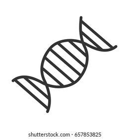 DNA molecule linear icon. Thin line illustration. Vector isolated outline drawing.