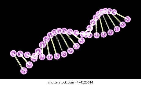 DNA molecule on black background Vector image
