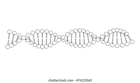 DNA molecule on white background Vector image