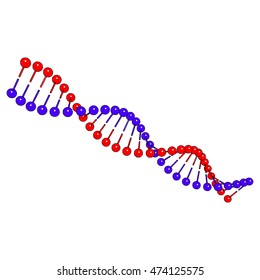 DNA molecule on white background Vector image