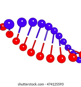 DNA molecule on white background Vector image