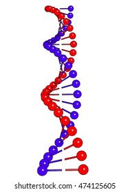 DNA molecule on white background Vector image