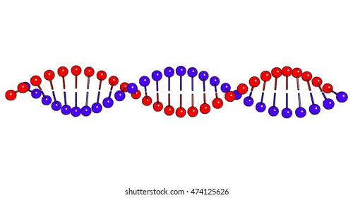 DNA molecule on white background Vector image