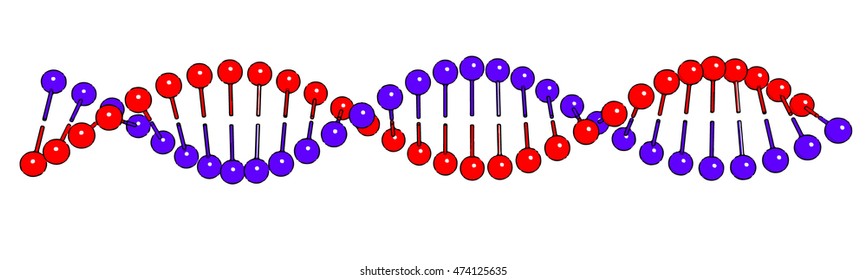 DNA molecule on white background Vector image