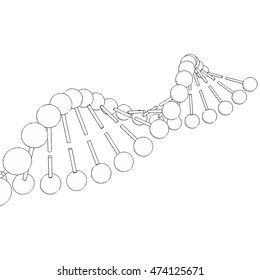 DNA molecule on white background Vector image