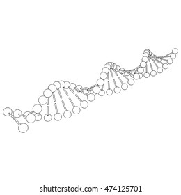 DNA molecule on white background Vector image