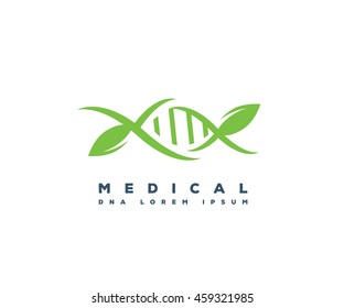DNA molecule in a plant abstract logo template